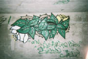 stuph1.jpg
